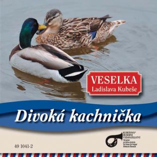 Divoka kachnicka